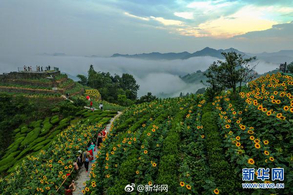 太吾绘卷倾诉爱意成功率怎么增加