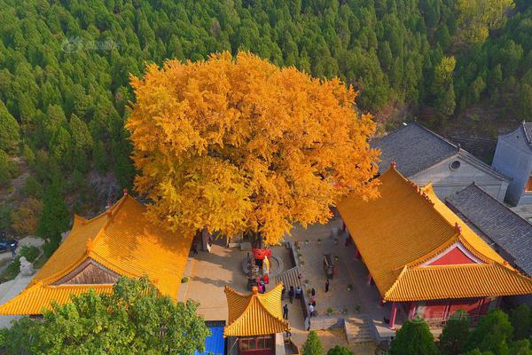 彩虹六号异种怪物怎么找人